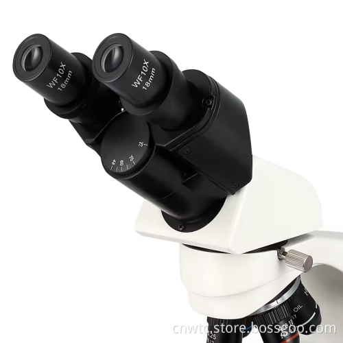 XSZ-N117A Biological Microscope: A Laboratory Tool for Optical Examination